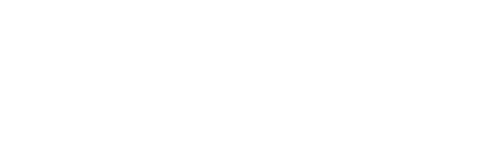 Solidify logo